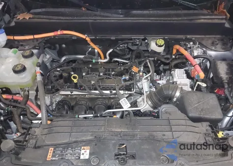 2024 Ford Maverick Xlt z USA, uszkodzony, nr VIN 3FTTW8H31RRB01229